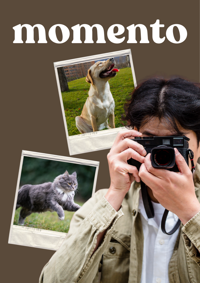 Ilustrasi kamera fotografi